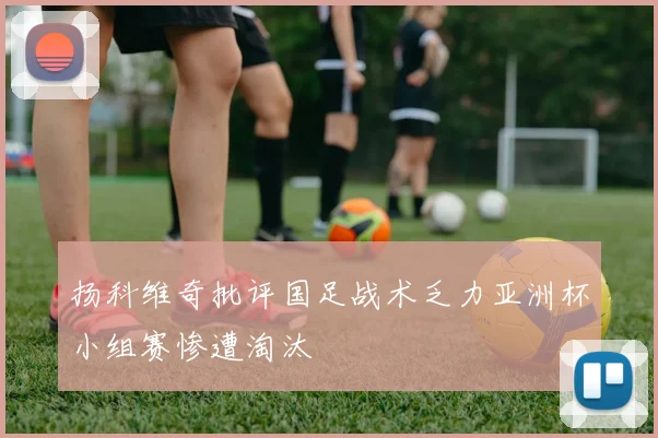 扬科维奇批评国足战术乏力亚洲杯小组赛惨遭淘汰